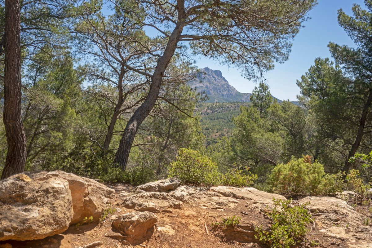 Carrières de Bibémus