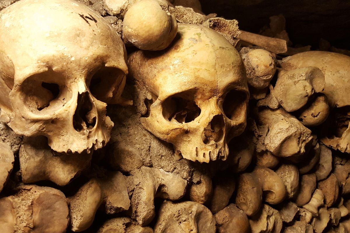 Crânes des catacombes de Palerme