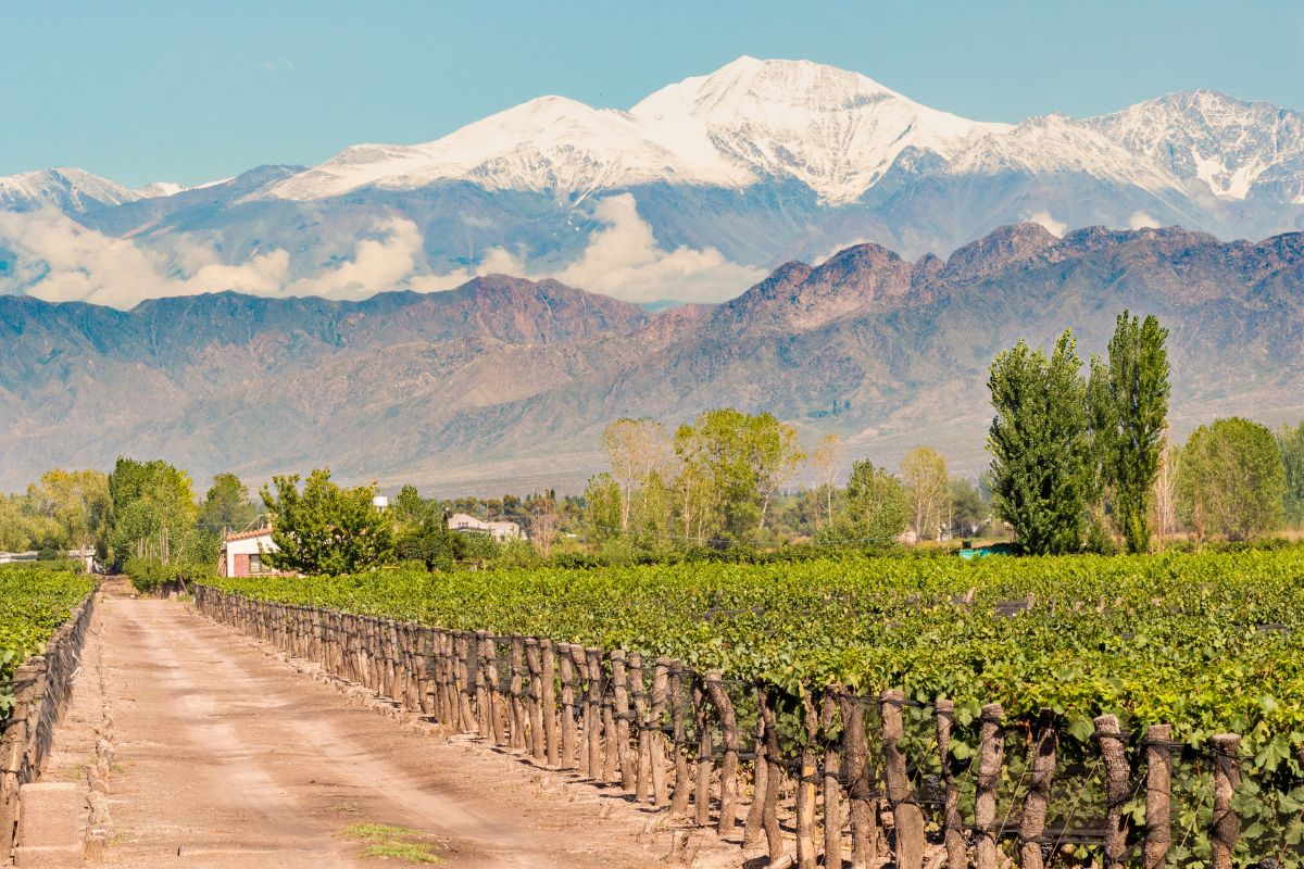 Cordillère des Andes