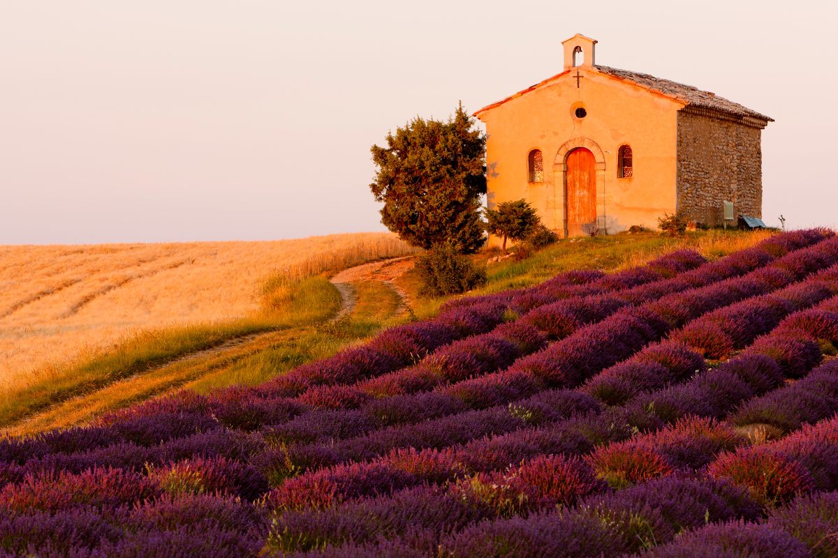 Provence