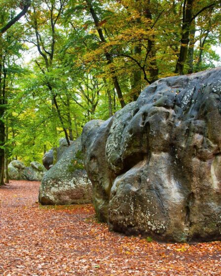 Sentier de randonnée secret de 6 km près de Paris à découvrir absolument