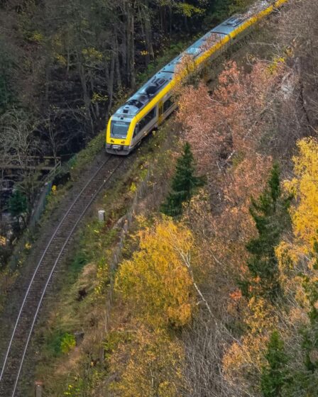 Découvrez les paysages enchanteurs à bord du meilleur train du monde cet automne