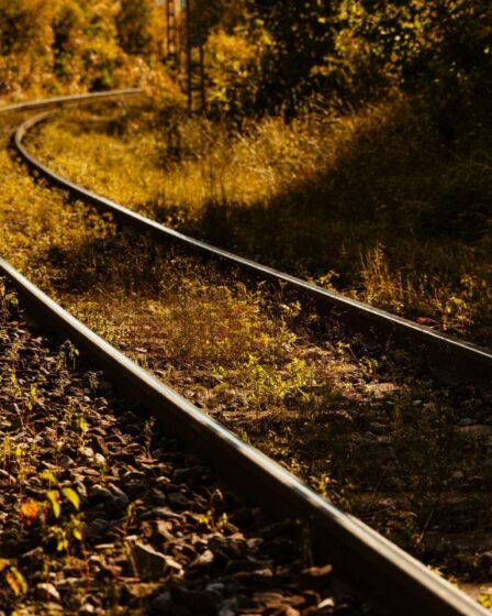 Découvrez l'automne féérique à bord du train historique de Heber
