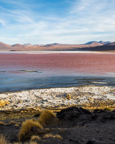 Découvrez le lac rouge et les flamants roses cachés en Bolivie
