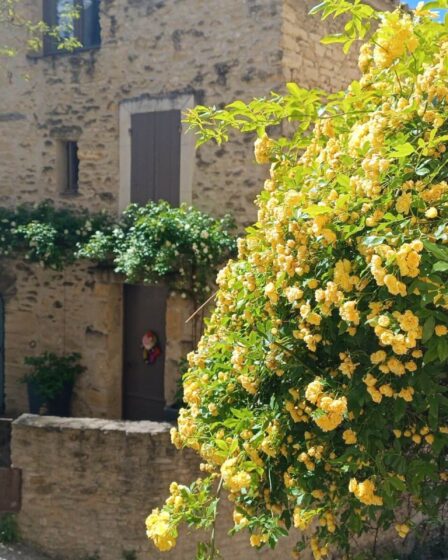 Découvrez le village le plus fleuri de Provence : un émerveillement !