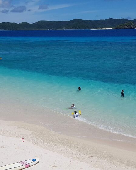 Le Japon tropical : une surprise pour les locaux sous les latitudes chaudes
