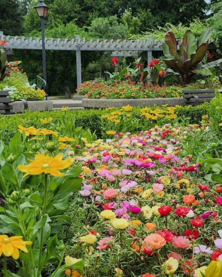 Découvrez le Jardin Remarquable du Berry : un trésor à explorer