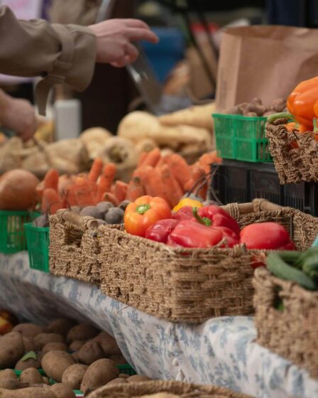 Découvrez le marché du Sud, élu plus beau de la région en 2025