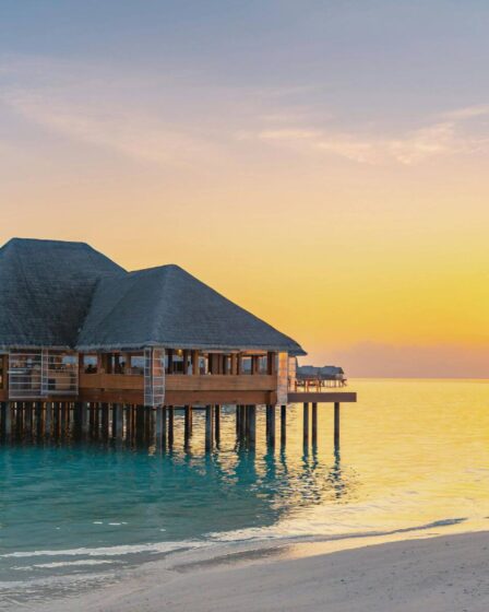 Oasis en Arabie Saoudite : beauté et écoresponsabilité surpassant les Maldives