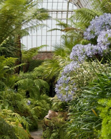 Découvrez un jardin lyonnais aux plantes rares et à l'ambiance anglaise