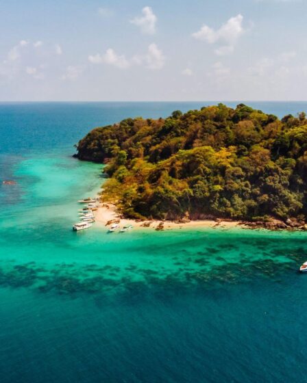 Îles en Suisse : une évasion inattendue qui surprend les locaux