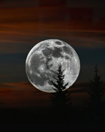 Découvrez la Super Lune : quand et comment l'observer ce soir