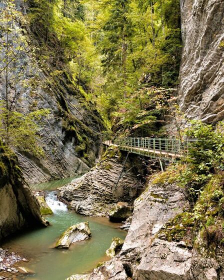 Passerelles suspendues et gorges au Portugal : vivez l'aventure !
