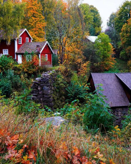 Village corrézien : un refuge pittoresque pour retraités en quête de sérénité