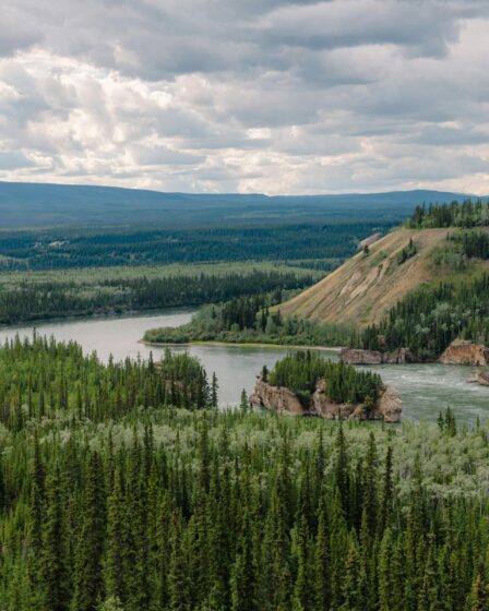 Yukon : Aventures entre ours, glaciers et aurores boréales