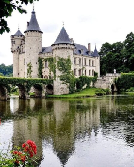 Découvrez le joyau secret de la Loire au charme irrésistible