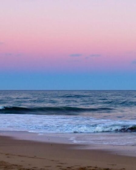 Découvrez le littoral vendéen : un havre de paix entre mer et lumière