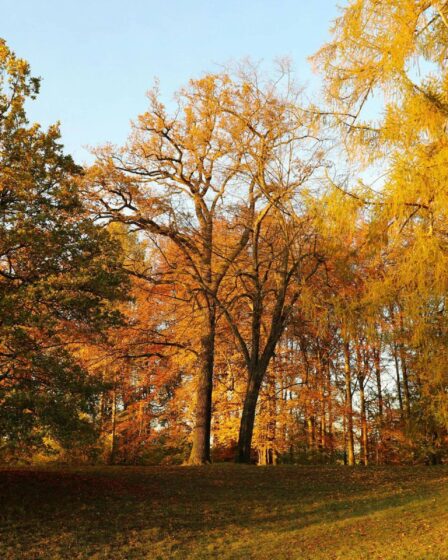 5 parcs en Suisse romande à découvrir en automne avant l'hiver