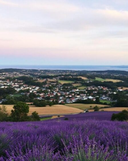 Village perché du Vaucluse : un coup de cœur pour les visiteurs