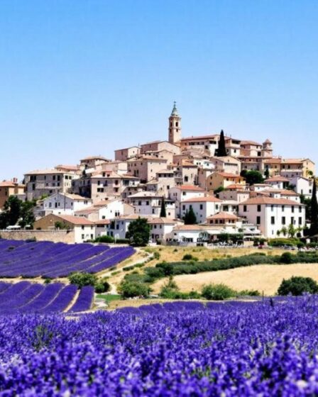 Village du Vaucluse : vue imprenable sur le Luberon et ses lavandes