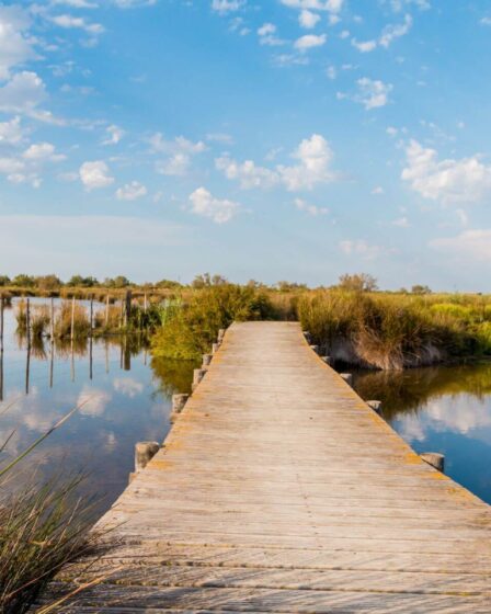 Escapade en Camargue : entre dunes et salins, un voyage hors du temps
