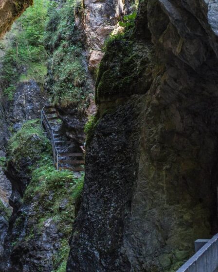 Sentier secret des Vosges : une aventure pour randonneurs intrépides