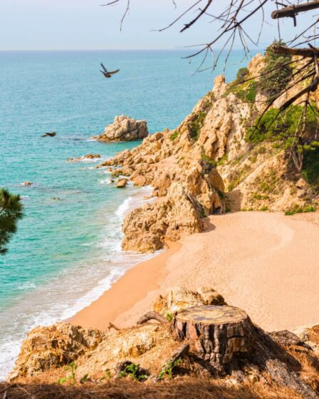 Évadez-vous vers un paradis secret : soleil et plages désertes en 1h30