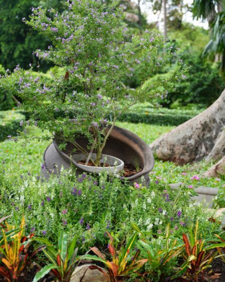 Découvrez le jardin botanique de Nancy : une forêt tropicale unique