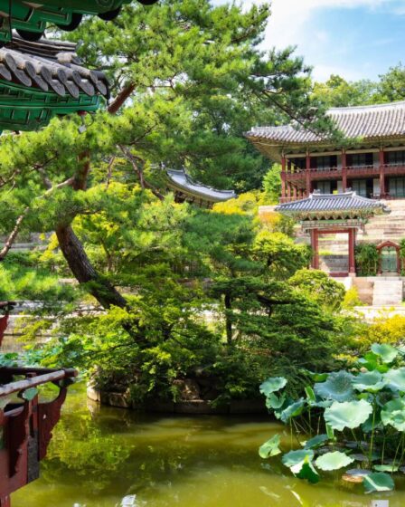 Découvrez le jardin secret de la Cité interdite, ouvert après 100 ans