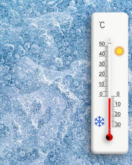 Vague de froid en France : températures jusqu'à 0°C à prévoir