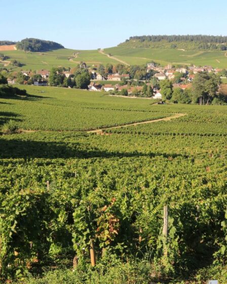 Bourg de Saône-et-Loire : un havre de paix pour les retraités actifs