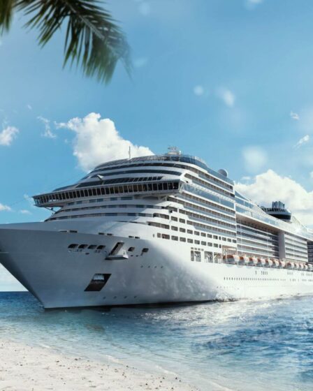 Offres voyages à saisir ce Black Friday et Cyber Monday : vols, hôtels, croisières