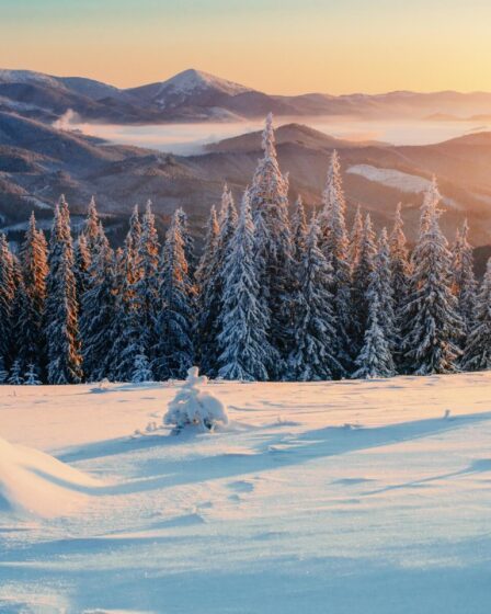 Premiers flocons en France : quels sommets profiteront de la neige ?