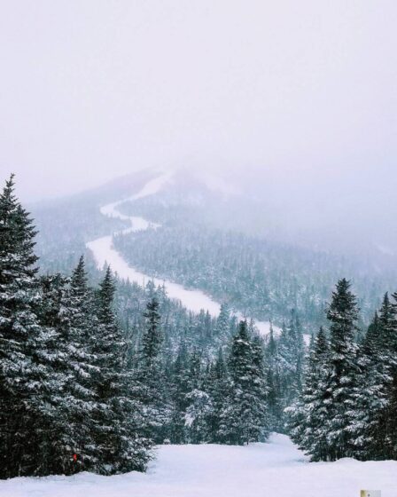 Découvrez le paradis caché du Vermont : le temple du ski en forêt
