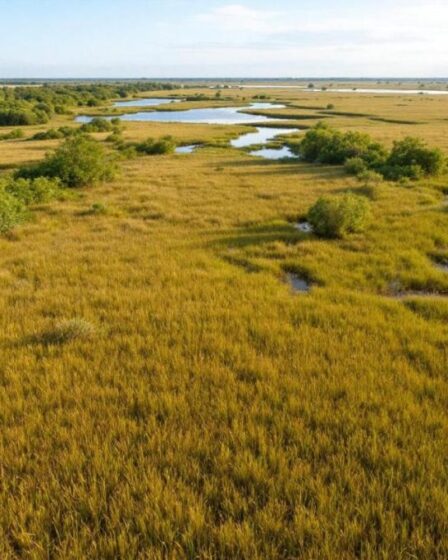 Découvrez ce coin sauvage méconnu de la Camargue entre dunes et marais