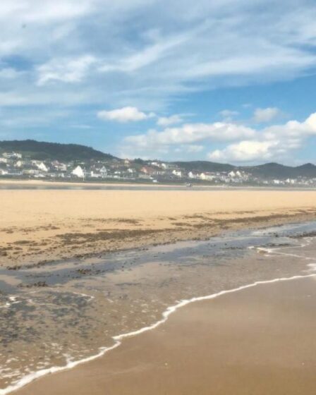 Découvrez l'île de Charente-Maritime, un trésor à ne pas manquer