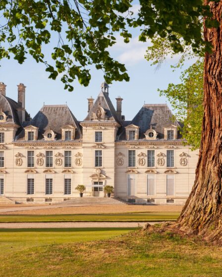 Découvrez le château de Tintin en Loire : une visite incontournable