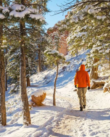 Sentiers hivernaux : découvrez des paysages magiques en hiver