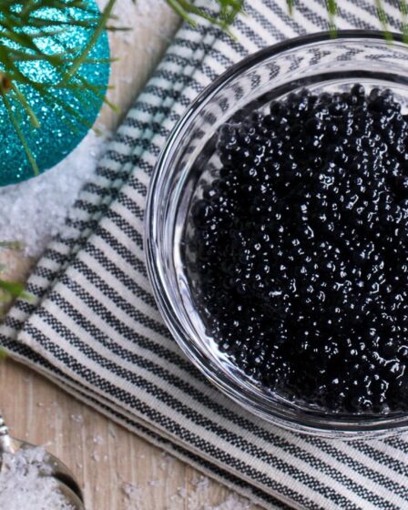 Découvrez le meilleur caviar du Périgord pour un Noël inoubliable
