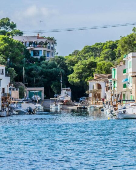 Île paradisiaque à gouffre financier : un voyage familial en péril