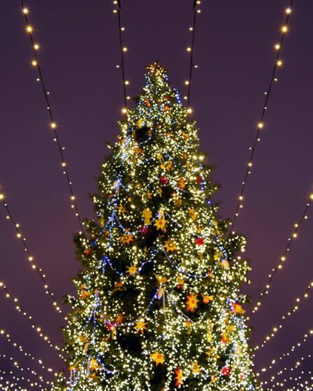 Les 10 sapins de Noël les plus incroyables à découvrir cette année