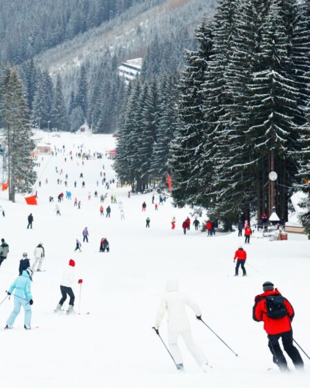 Station alpine : pistes de ski gratuites pour tous les amateurs !