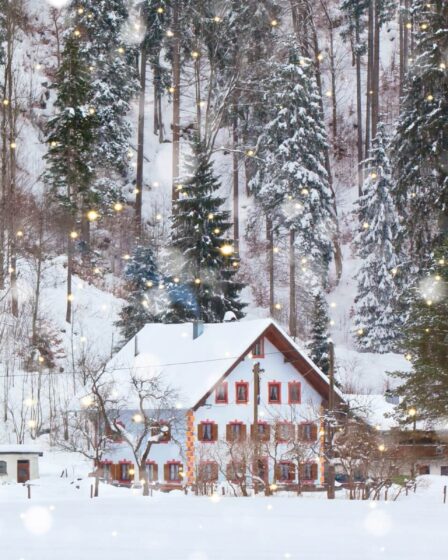 Station des Alpes : la destination hivernale préférée des Français