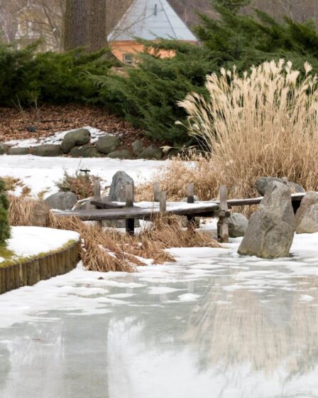 5 sorties jardin incontournables pour un week-end nature en décembre
