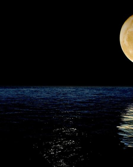 Janvier 2026 : Supermoon, étoiles filantes et magie du ciel nocturne