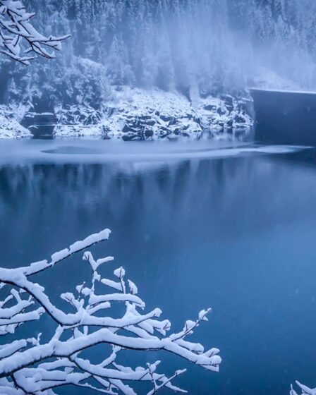 Treks secrets en Belgique : vivez un hiver féerique entre lacs et forêts