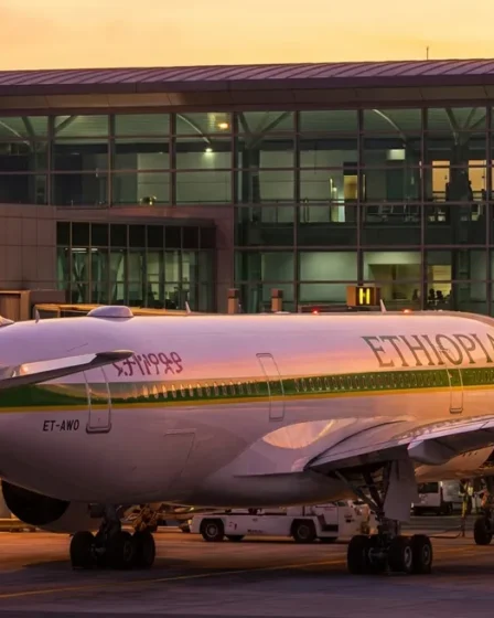 Ethiopian Airlines à Lyon : découvrez l'Afrique facilement cet été