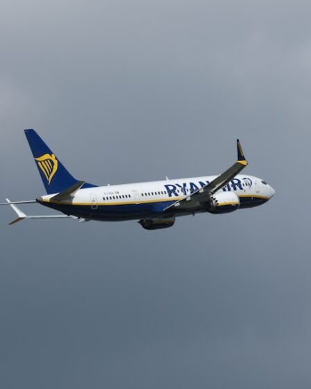 Ryanair et Elon Musk : une insulte à 250 millions booste les ventes de 2%