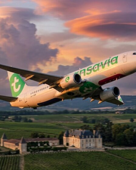 Vol Transavia Paris-Alger : demi-tour en raison d'un problème technique