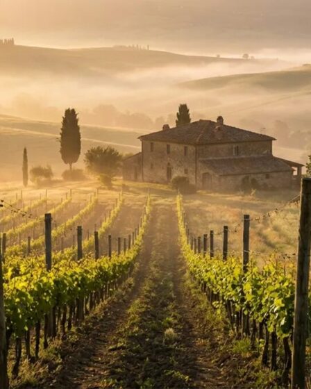Agrotourisme printemps 2026 : top destinations en France et Europe